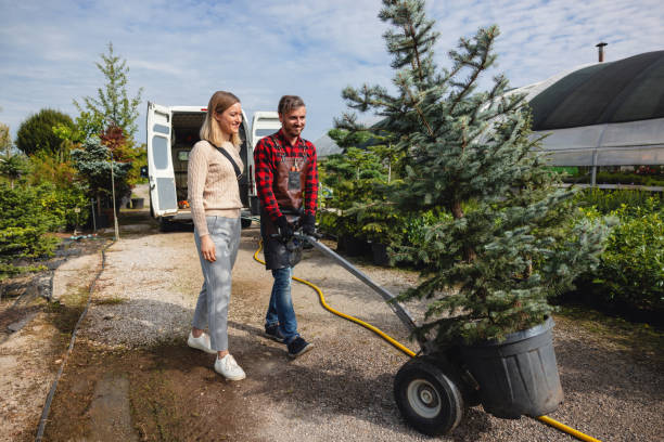 Best Emergency Tree Removal  in Blandon, PA